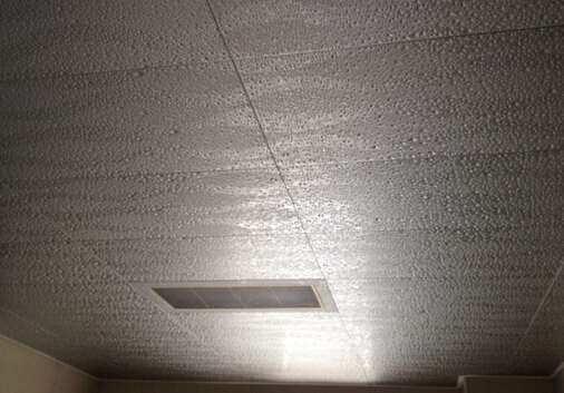 ��������η����񣿻����������