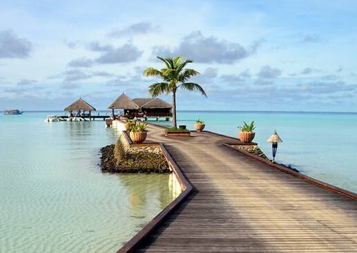 ����������Ҫʲô���m�����κ��C�k������