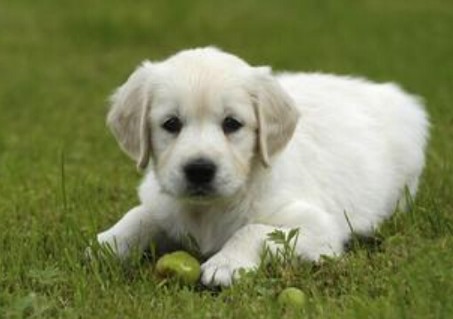 С���I����ô���£�С����ϡ�I����ô�k��