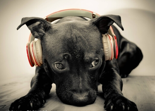 С�����Ӹ�����ô���£�С�����Ӹ���ô�k��