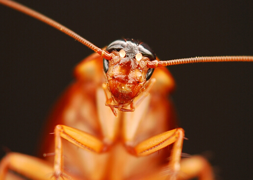 �����ô���磿���������Ч�ķ���