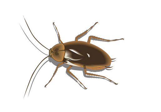 ���ҧ���ж����������ô������