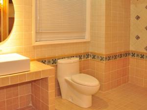 潔廁劑怎么選？使用潔廁劑的注意事項(xiàng)