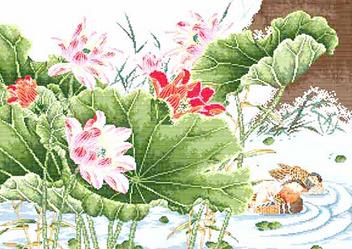 ʮ���C��ô�C��ʮ���C���C��