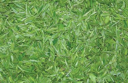 �G����δ�ţ��惦�G��ļ��M�cע�����