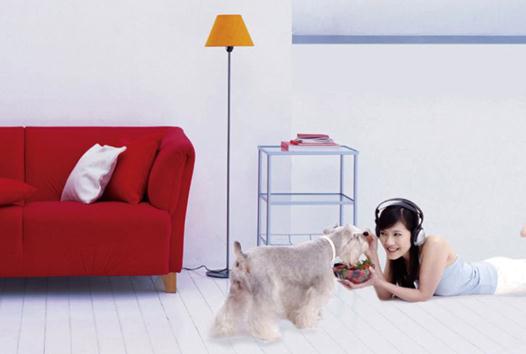 �����ķNȡů��ʽ��������m���m�ϼ�ͥסլ���������N��ů��ʽ�ı��^