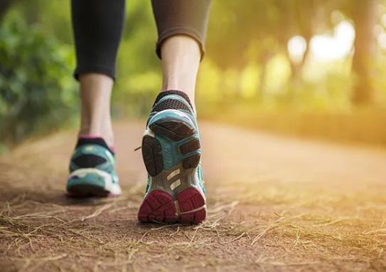 國家認可健康管理師證書嗎?健康管理師證書報名費是多少?