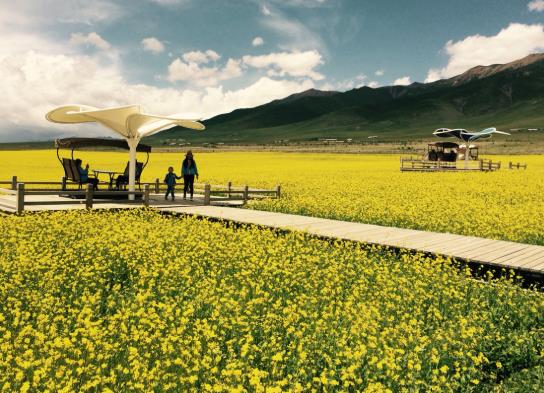 行程卡可以代替各省的健康碼使用嗎?行程卡可以具體定位你在什么地方嗎