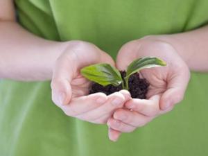 4月10日是什么節日？非洲環境保護日是幾月幾日