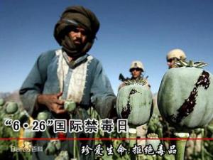 6月26日是什么節日?國際禁毒日是幾月幾日
