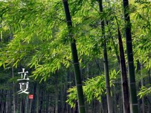 立夏是什么時候?二十四節氣之立夏的由來與含義