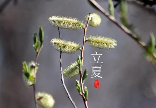 2021年立夏能剪頭發嗎?2021立夏有什么講究嗎