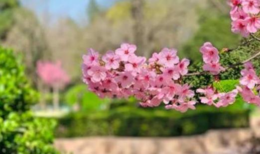 春季怎么養(yǎng)肝?春分養(yǎng)身原則有哪些?