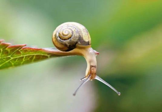 驚蟄是冷好還是熱好?驚蟄上墳要帶什么