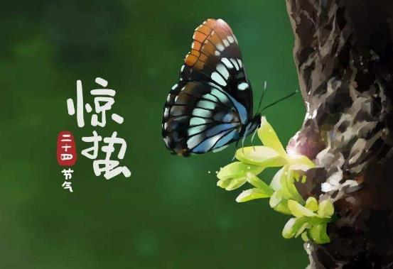 驚蟄節(jié)氣吃什么食物好?驚蟄打雷在什么時(shí)候打