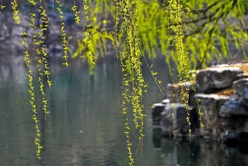 ����ǧ��(ji��)����ʲô��(ji��)������ǧ��(ji��)������Դ��ʲô��