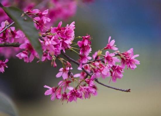 2022年躲春的時候可以做什么?2022年孩子為什么要躲春躲年