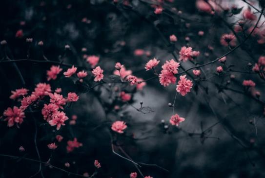 2022年躲春的時候可以做什么?2022年孩子為什么要躲春躲年