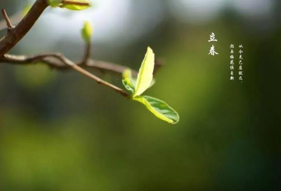 2022年躲春要躲多久?2022年屬虎的怎么躲春?