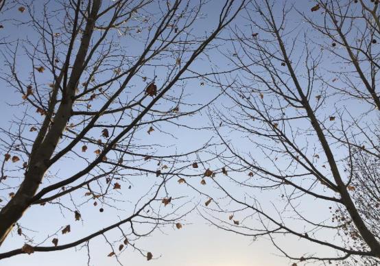 2022年躲春要躲多久?2022年屬虎的怎么躲春?