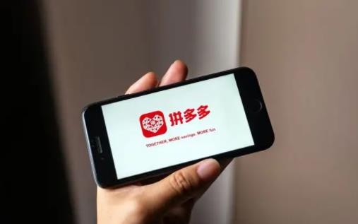 拼多多運費險審核中什么意思 拼多多運費險退回來的錢在哪里