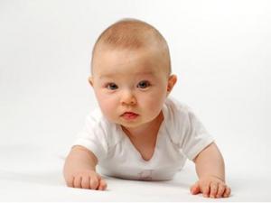 寶寶幾個月會爬行？家長如何訓練寶寶學爬行