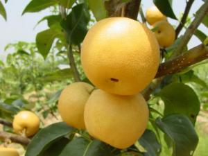 ��������Æ�����������ĺ�̎