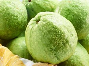 寶寶能吃番石榴嗎?寶寶吃番石榴的做法