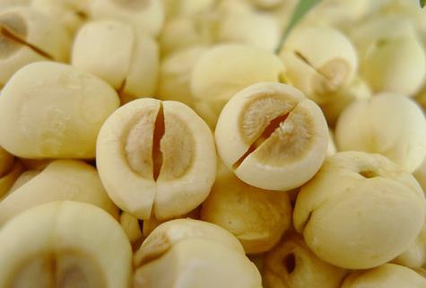 �����ܳ�ɏ�ӆ᣿������ɏ�ӵ�����