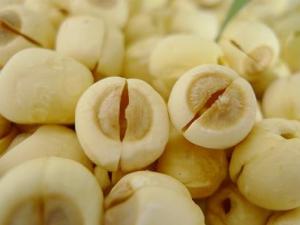 寶寶能吃蓮子嗎?寶寶吃蓮子的做法