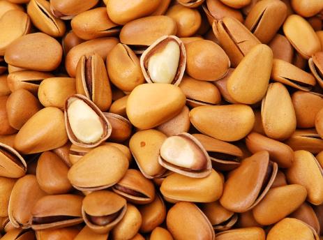 �����ܳ����ӆ������������ӵ�����