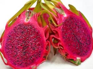 寶寶能吃火龍果嗎?寶寶吃火龍果上火嗎