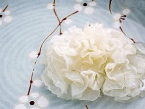 孕婦可以吃銀耳嗎？孕婦吃銀耳的做法