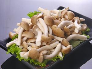 產婦可以吃蟹味菇嗎？產婦吃蟹味菇的禁忌