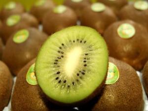 �ЋD�ܳԫJ���҆᣿�ЋD�ԫJ���ҺÆ᣿