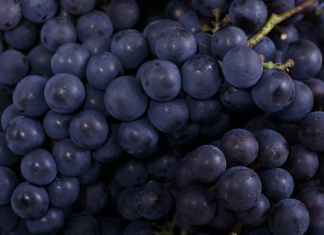 孕婦吃葡萄好嗎?孕婦可以吃葡萄嗎