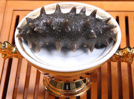 孕婦能吃海參嗎?孕婦吃海參的家常做法