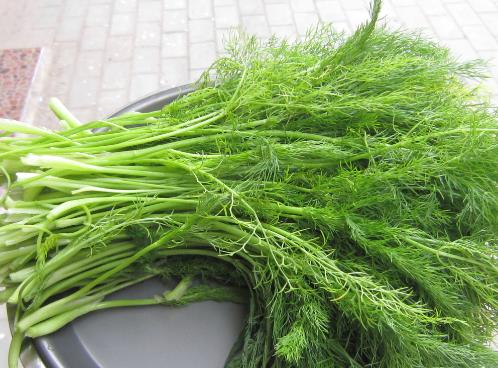 孕婦能吃茴香嗎?孕婦吃調味品的注意事項