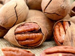 孕婦能吃碧根果嗎？孕婦吃碧根果有什么好處