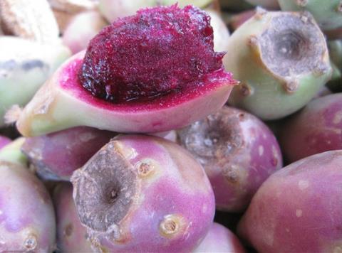 孕婦能吃仙人掌果嗎?孕婦吃仙人掌果好嗎