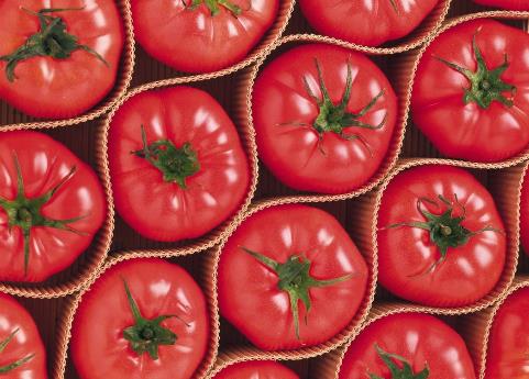 �ЋD�ܳ����t���᣿�ЋD�����t����ʲô��̎