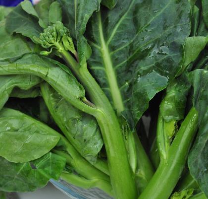 �ЋD�ܳԽ��{(l��n)�᣿�ЋD�Խ��{(l��n)��ʳ�ý���