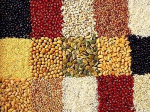 哺乳期怎么補膳食纖維？含膳食纖維高的食物