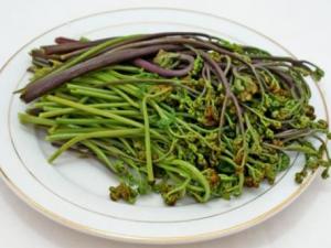 孕婦吃蕨菜有什么好處?孕婦吃蕨菜的做法