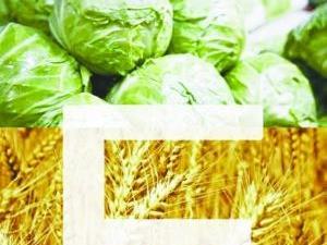 孕婦能吃維生素e嗎？維生素e的攝入量是多少