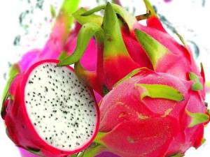 孕婦可以吃火龍果嗎?吃火龍果上火嗎