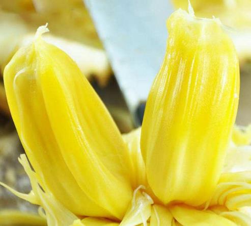 孕婦能吃菠蘿蜜嗎?孕婦怎樣吃菠蘿蜜才安全