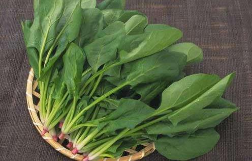 孕婦補營養吃什么 孕婦要吃的7種水果