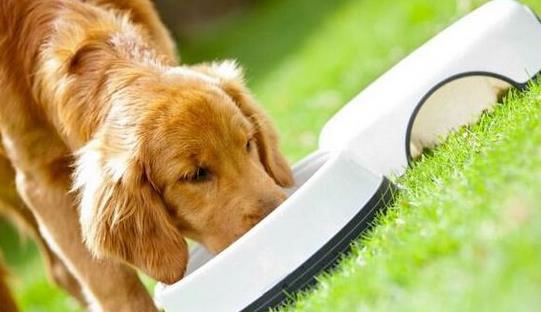 ʮ����ʳƷƷ�����а�