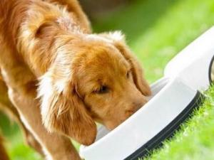 ʮ����ʳƷƷ�����а� ʲô���ӵČ���ʳƷ��